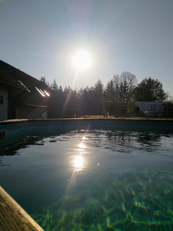 Camping & Guest House Pliskovice Mirovice Luaran gambar