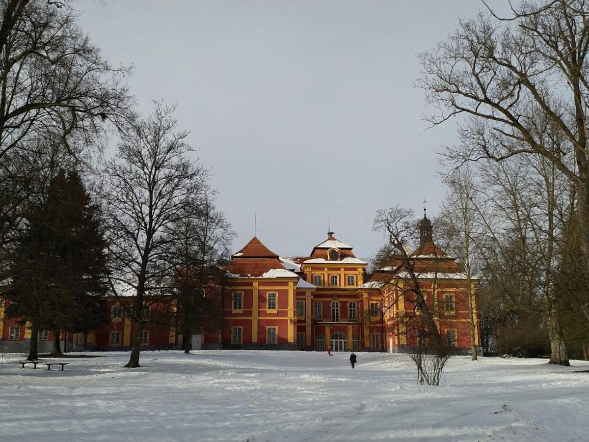 Camping & Guest House Pliskovice Mirovice Luaran gambar