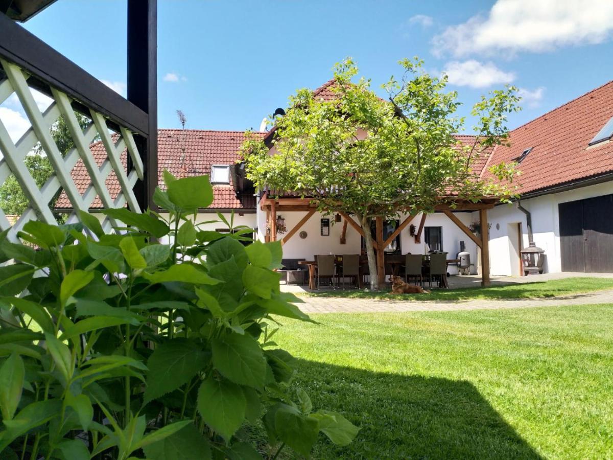 Camping & Guest House Pliskovice Mirovice Luaran gambar