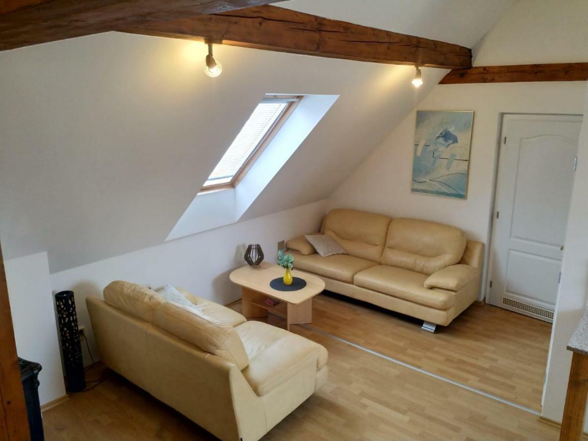 Camping & Guest House Pliskovice Mirovice Luaran gambar