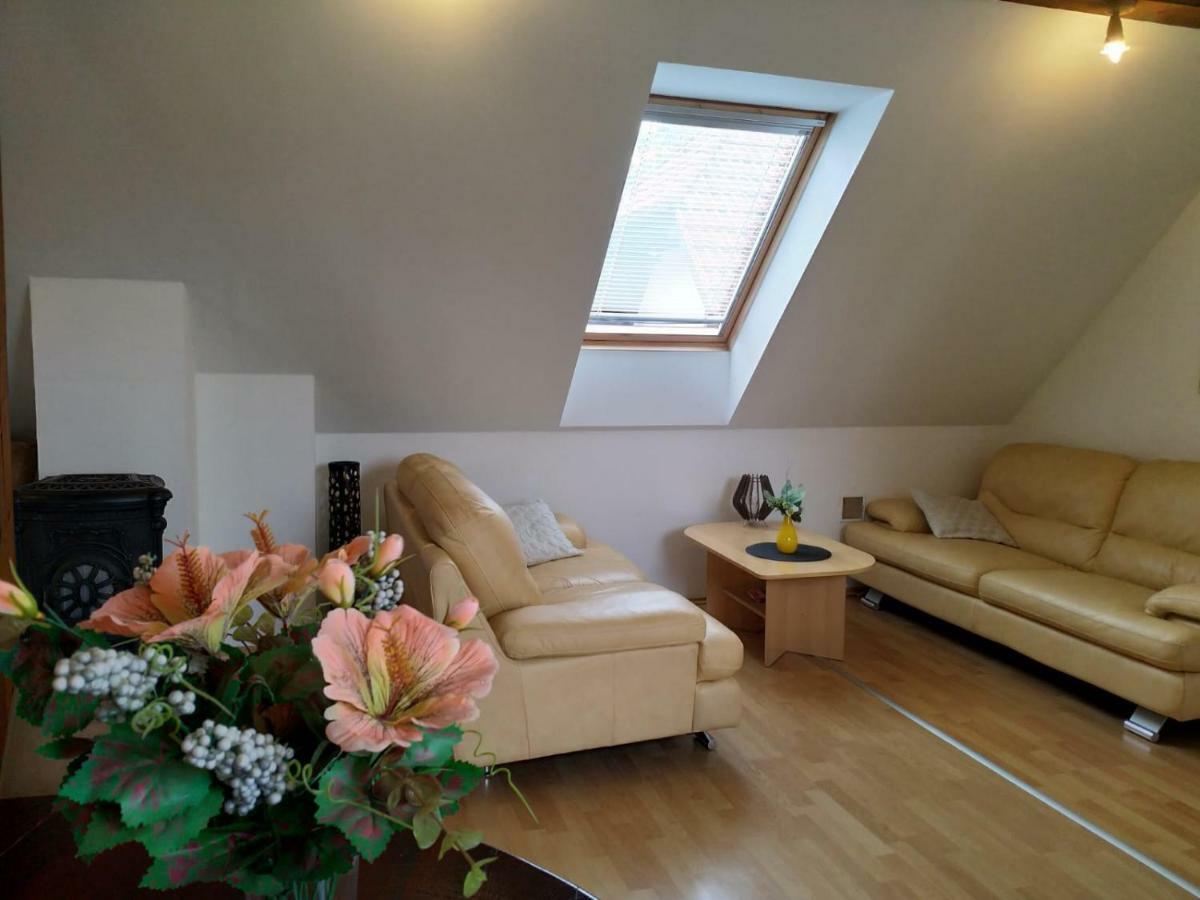 Camping & Guest House Pliskovice Mirovice Luaran gambar